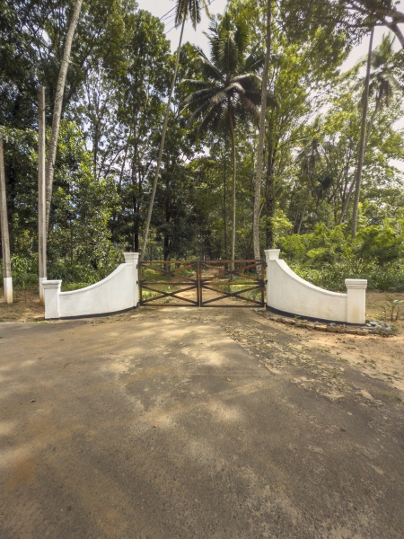 Elpitiya Tea Estate Image